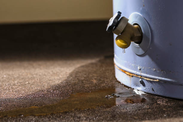 Best Commercial water damage restoration  in Avondale, AZ
