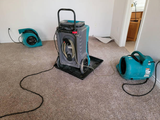 Trusted Avondale, AZ Water damage restoration Experts