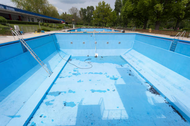 Best Basement water damage restoration  in Avondale, AZ