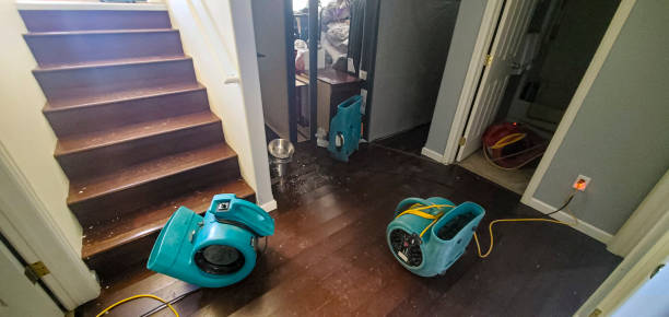 Best Sewage cleanup and water damage restoration  in Avondale, AZ