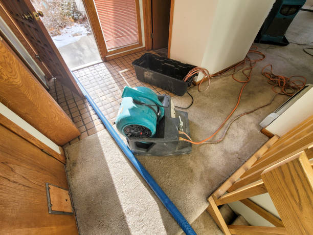 Best Water damage restoration experts  in Avondale, AZ