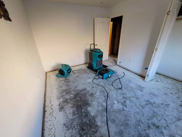 Water damage restoration experts in Avondale, AZ