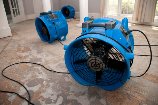 Best 24/7 water damage repair  in Avondale, AZ