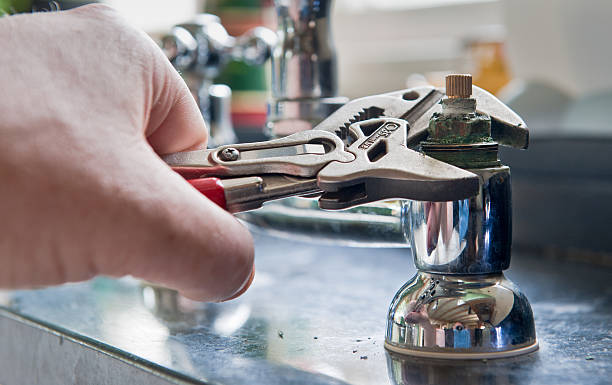 Best Flood damage cleanup  in Avondale, AZ