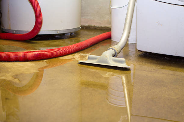 Reliable Avondale, AZ Water damage restoration Solutions