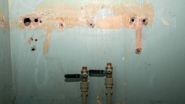 Best Carpet water damage restoration  in Avondale, AZ
