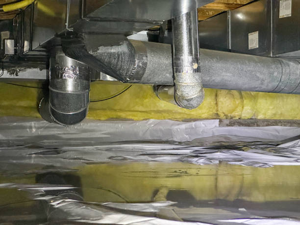 Best Water damage repair service  in Avondale, AZ