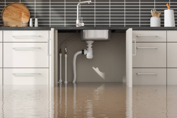 Best 24-hour water damage restoration  in Avondale, AZ