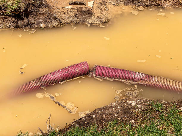 Best 24/7 water damage repair  in Avondale, AZ